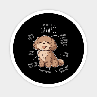 Cavapoo Dog Anatomy Magnet